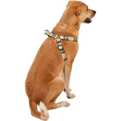 STAR WARS THE MANDALORIAN GROGU Dog Harness -PetSafe Kong Shop 226366 PT3. AC SS1800 V1651611098