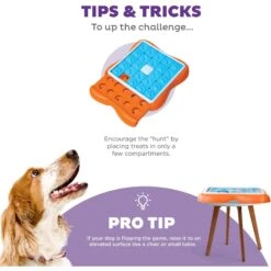 Nina Ottosson By Outward Hound Challenge Slider Dog Toy 11 Nina Ottosson By Outward Hound Challenge Slider Dog Toy -PetSafe Kong Shop 226716 PT3. AC SS1800 V1694287362