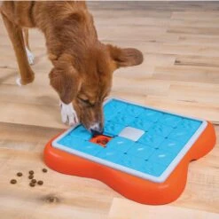 Nina Ottosson By Outward Hound Challenge Slider Dog Toy 12 Nina Ottosson By Outward Hound Challenge Slider Dog Toy -PetSafe Kong Shop 226716 PT4. AC SS1800 V1694286042