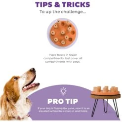 Nina Ottosson By Outward Hound Dog Smart Composite Dog Toy 11 Nina Ottosson By Outward Hound Dog Smart Composite Dog Toy -PetSafe Kong Shop 226720 PT3. AC SS1800 V1694439632