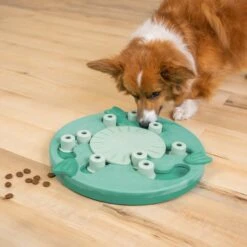 Nina Ottosson By Outward Hound Dog Worker Green Interactive Treat Puzzle Dog Toy -PetSafe Kong Shop 226722 PT4. AC SS1800 V1694286039