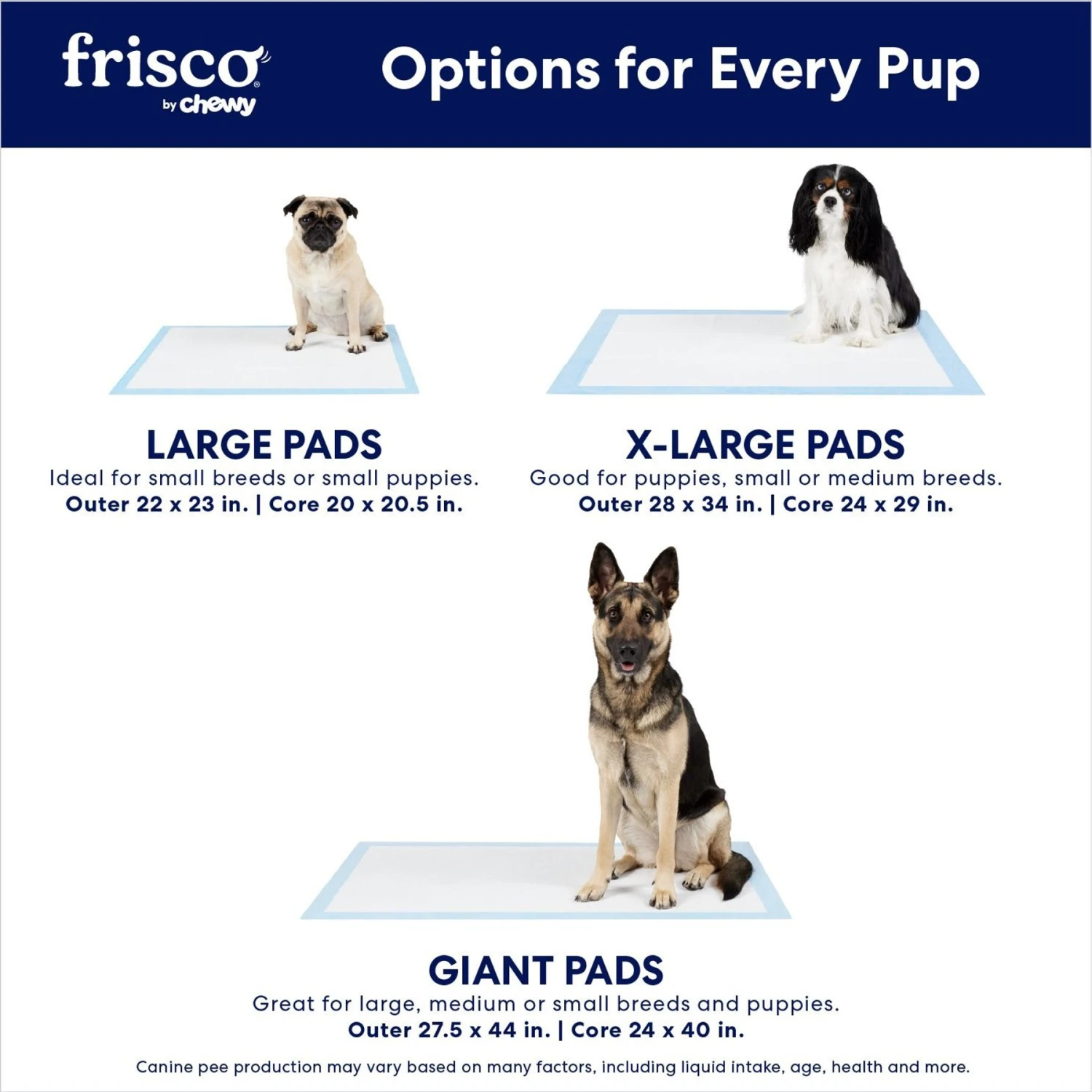 Frisco Giant Charcoal Dog Training & Potty Pads 4 Frisco Giant Charcoal Dog Training & Potty Pads - Image 4