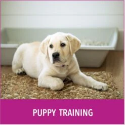 Puppy Go Potty Natural Paper Fiber Dog Litter 13 Puppy Go Potty Natural Paper Fiber Dog Litter -PetSafe Kong Shop 227546 PT4. AC SS1800 V1597158666