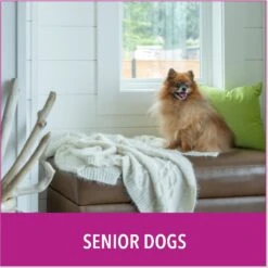 Puppy Go Potty Natural Paper Fiber Dog Litter 14 Puppy Go Potty Natural Paper Fiber Dog Litter -PetSafe Kong Shop 227546 PT5. AC SS1800 V1597158657