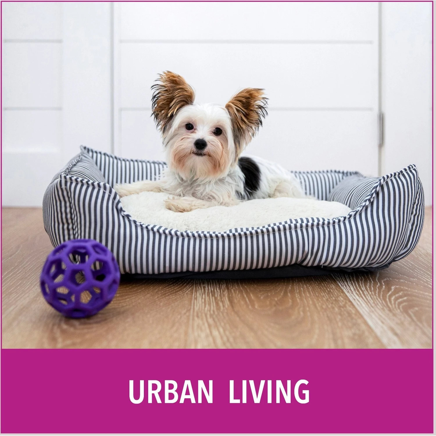 Puppy Go Potty Natural Paper Fiber Dog Litter 7 Puppy Go Potty Natural Paper Fiber Dog Litter - Image 7