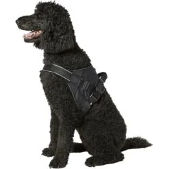 Frisco Big Dog Harness -PetSafe Kong Shop 227877 PT4. AC SS1800 V1600307761