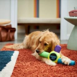 Frisco Retro Whack It! Ballistic Nylon Plush Squeaky Dog Toy -PetSafe Kong Shop 230302 PT3. AC SS1800 V1601947283