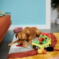 Frisco Retro Smack-a-Squirrel Hide & Seek Puzzle Plush Squeaky Dog Toy -PetSafe Kong Shop 230313 PT3. AC SS1800 V1601947334