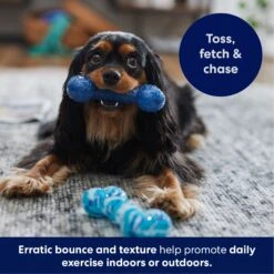 Frisco Retro Denim & Swirl TPR Bone Squeaky Dog Toy -PetSafe Kong Shop 230341 PT4. AC SS1800 V1695748896