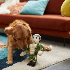 Frisco Retro Camo Hero Muscle Plush Squeaky Dog Toy -PetSafe Kong Shop 230375 PT3. AC SS1800 V1602639726