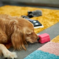 Frisco Retro Funky Van TPE Treat Dispenser Dog Toy, Medium/Large -PetSafe Kong Shop 230383 PT4. AC SS1800 V1669908614