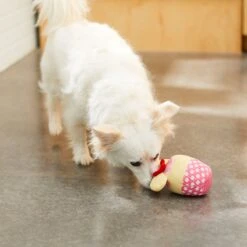 Disney Minnie Mouse Cupcake Plush Squeaky Dog Toy -PetSafe Kong Shop 230761 PT2. AC SS1800 V1612365181