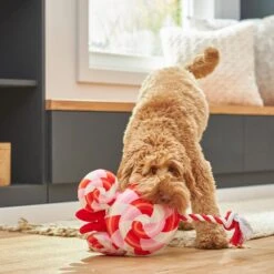 Disney Minnie Mouse Lollipop Plush With Rope Squeaky Dog Toy 5 Disney Minnie Mouse Lollipop Plush With Rope Squeaky Dog Toy -PetSafe Kong Shop 230773 PT3. AC SS1800 V1621382837