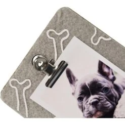 Prinz "Full-Time Dog Lover" Mug & Instax Frame Gift Set -PetSafe Kong Shop 232043 PT3. AC SS1800 V1588609909