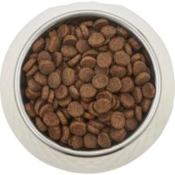 Frisco Hammered Melamine Stainless Steel Dog Bowl 9 Frisco Hammered Melamine Stainless Steel Dog Bowl -PetSafe Kong Shop 232083 PT3. AC SS1800 V1609885089