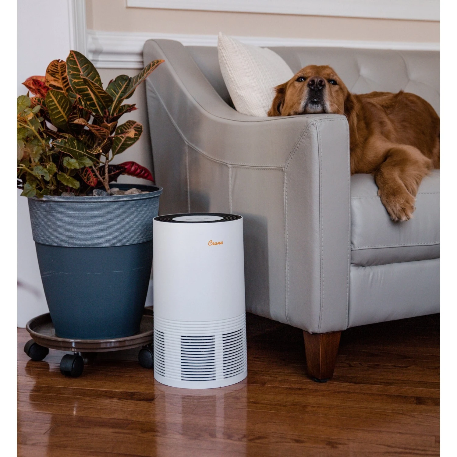 Crane True HEPA Tower Air Purifier 2 Crane True HEPA Tower Air Purifier - Image 2