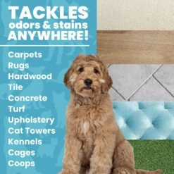 Unique Pet Care Ready To Use Pet Odor & Stain Eliminator, 24-oz Bottle 10 Unique Pet Care Ready To Use Pet Odor & Stain Eliminator, 24-oz Bottle -PetSafe Kong Shop 232906 PT2. AC SS1800 V1643913383