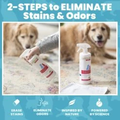 Unique Pet Care Ready To Use Pet Odor & Stain Eliminator, 24-oz Bottle 11 Unique Pet Care Ready To Use Pet Odor & Stain Eliminator, 24-oz Bottle -PetSafe Kong Shop 232906 PT3. AC SS1800 V1643914892