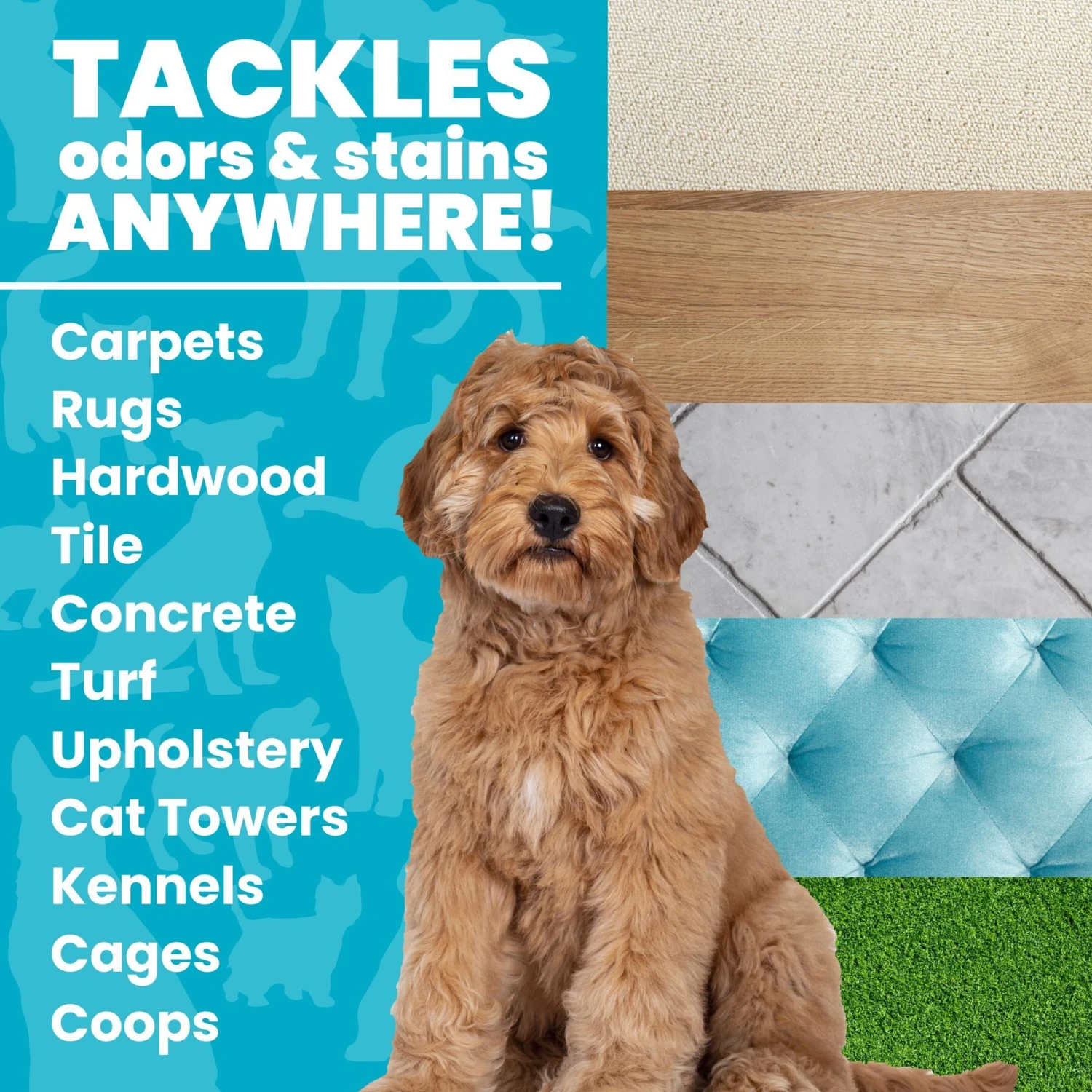 Unique Pet Care Ultra Concentrated Pet Odor & Stain Eliminator 3 Unique Pet Care Ultra Concentrated Pet Odor & Stain Eliminator - Image 3