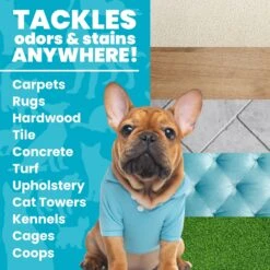 Unique Pet Care Fresh Rain Dog Odor + Stain Remover, 24-oz Bottle 11 Unique Pet Care Fresh Rain Dog Odor + Stain Remover, 24-oz Bottle -PetSafe Kong Shop 232911 PT2. AC SS1800 V1700689358