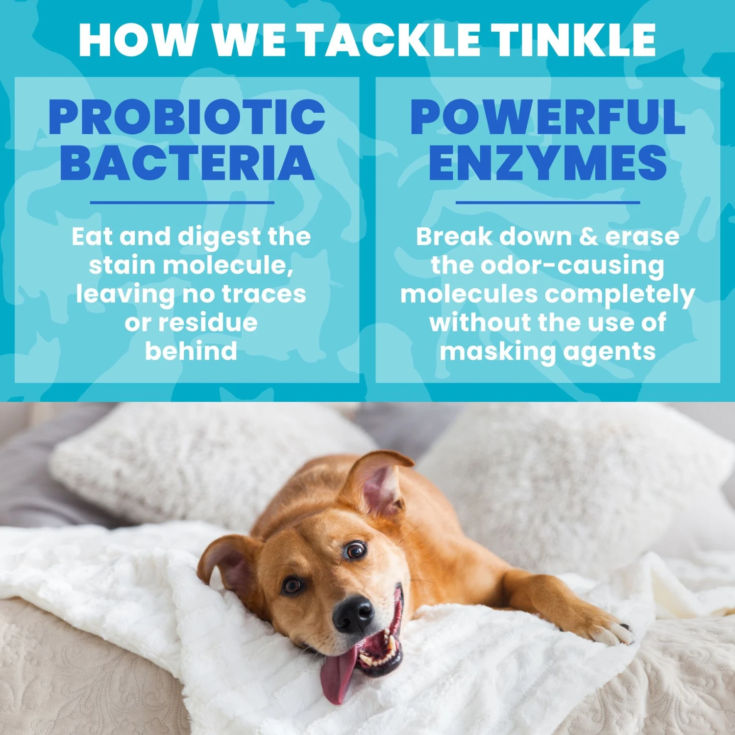 Unique Pet Care Fresh Rain Dog Odor + Stain Remover, 24-oz Bottle 5 Unique Pet Care Fresh Rain Dog Odor + Stain Remover, 24-oz Bottle - Image 5