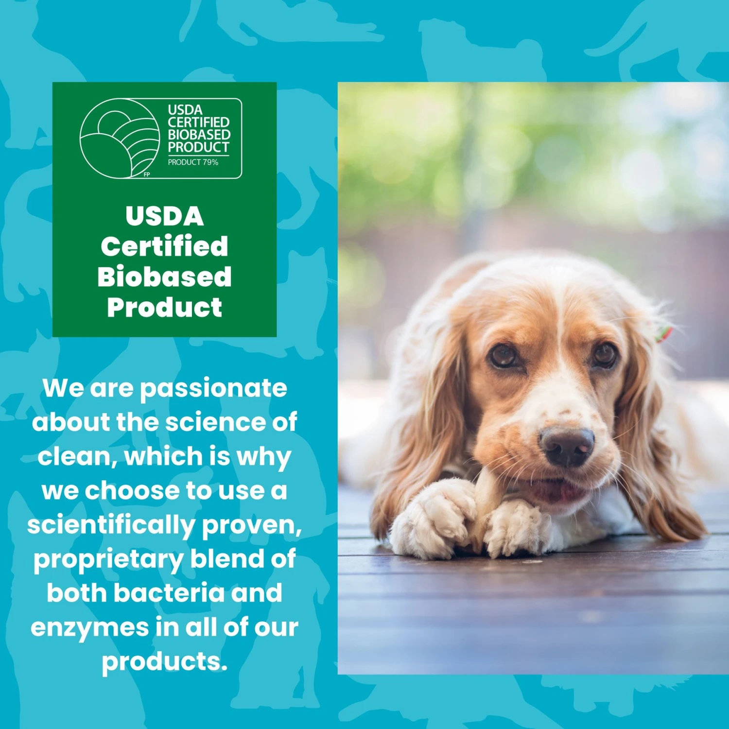 Unique Pet Care Fresh Rain Dog Odor + Stain Remover, 24-oz Bottle 7 Unique Pet Care Fresh Rain Dog Odor + Stain Remover, 24-oz Bottle - Image 7