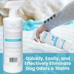 Unique Pet Care Fresh Rain Dog Odor + Stain Remover, 24-oz Bottle 16 Unique Pet Care Fresh Rain Dog Odor + Stain Remover, 24-oz Bottle -PetSafe Kong Shop 232911 PT7. AC SS1800 V1643914115