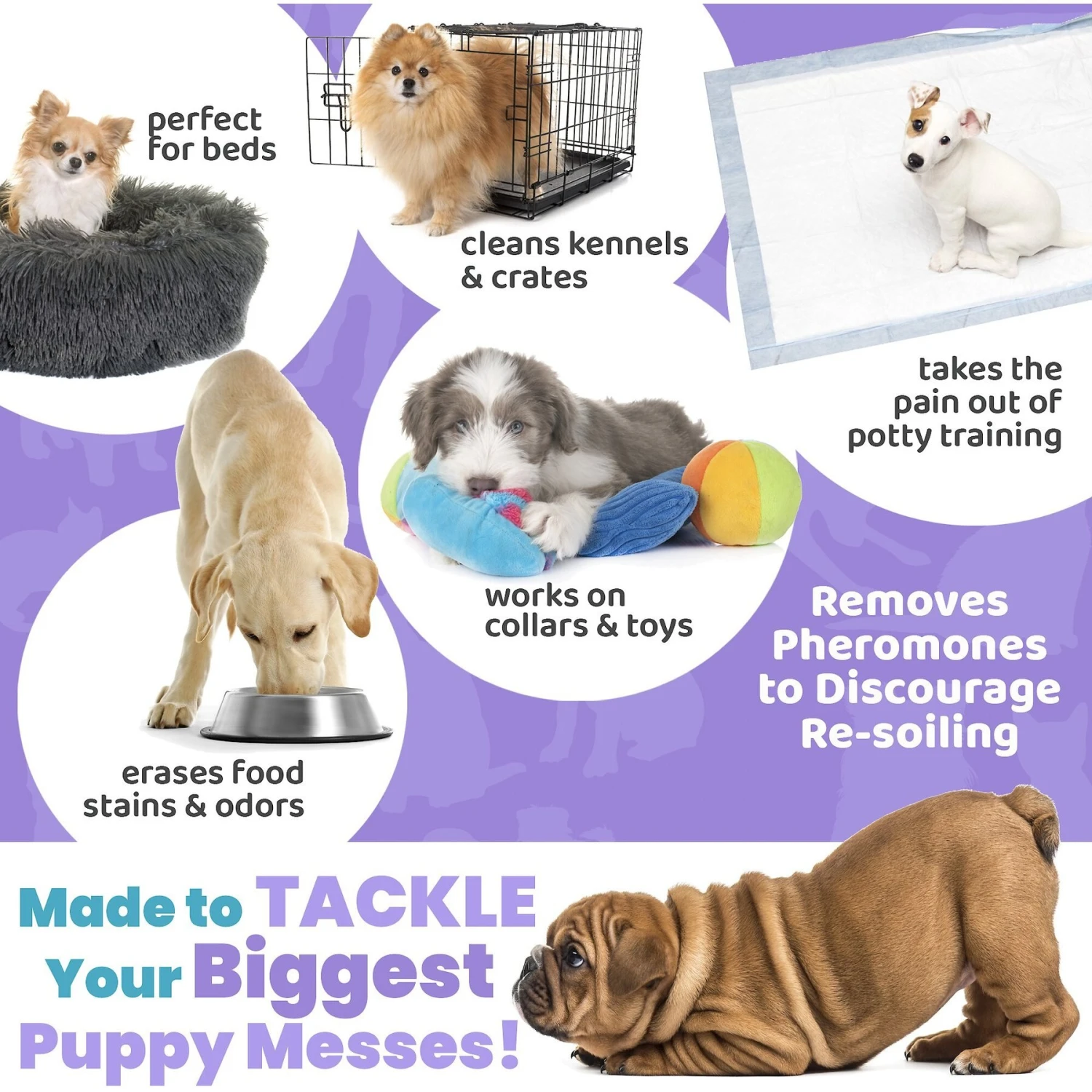 Unique Pet Care Fresh Lavender Puppy Odor + Stain Remover, 24-oz Bottle 7 Unique Pet Care Fresh Lavender Puppy Odor + Stain Remover, 24-oz Bottle - Image 7