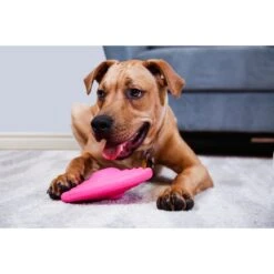 Hartz DuraPlay Disc Bacon Scented Dog Toy, Color Varies -PetSafe Kong Shop 232936 PT4. AC SS1800 V1661201470