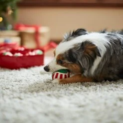 Frisco Holiday Wreath Fetch Squeaky Tennis Ball Dog Toy -PetSafe Kong Shop 233189 PT3. AC SS1800 V1665759769