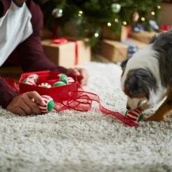 Frisco Holiday Wreath Fetch Squeaky Tennis Ball Dog Toy -PetSafe Kong Shop 233189 PT5. AC SS1800 V1601919657