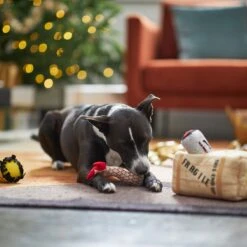 Frisco Holiday Fragile Box Hide & Seek Puzzle Plush Squeaky Dog Toy 11 Frisco Holiday Fragile Box Hide & Seek Puzzle Plush Squeaky Dog Toy -PetSafe Kong Shop 233274 PT4. AC SS1800 V1665759767