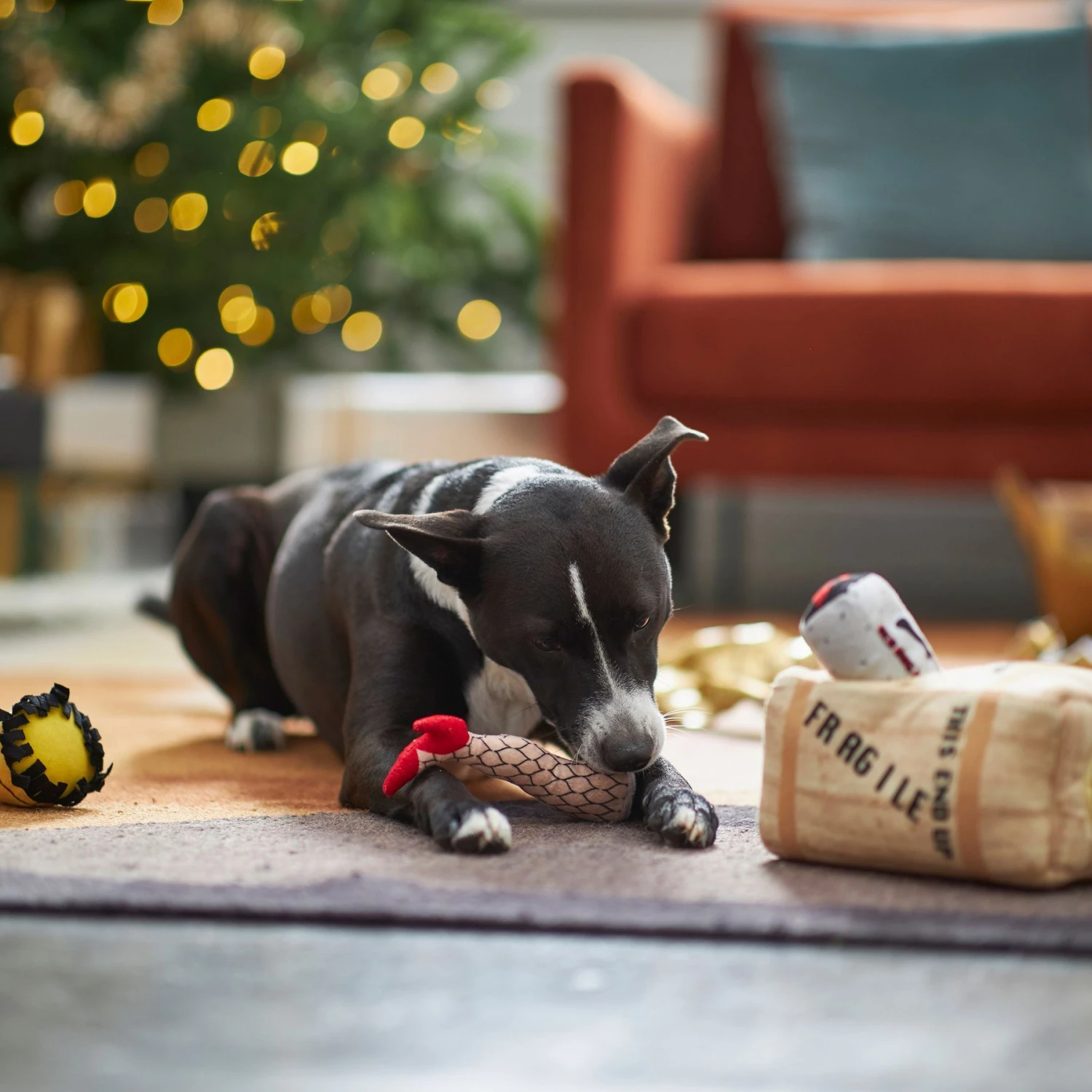 Frisco Holiday Fragile Box Hide & Seek Puzzle Plush Squeaky Dog Toy 5 Frisco Holiday Fragile Box Hide & Seek Puzzle Plush Squeaky Dog Toy - Image 5