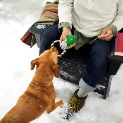 Frisco Holiday Christmas Light Rope With TPR Squeaky Dog Toy -PetSafe Kong Shop 233278 PT2. AC SS1800 V1601641574