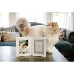 Pearhead Pawprints Desk Frame, 4 X 6-in -PetSafe Kong Shop 233347 PT4. AC SS1800 V1630453878