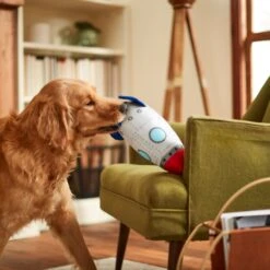 Frisco Ballistic Nylon Plush Squeaky Rocket Ship Dog Toy -PetSafe Kong Shop 233581 PT3. AC SS1800 V1600973767