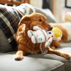 Frisco Ballistic Nylon Plush With Rope Squeaky Astronaut Dog Toy -PetSafe Kong Shop 233585 PT3. AC SS1800 V1600973761