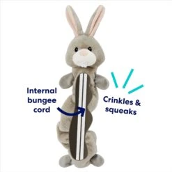 Frisco Bunny Bungee Plush Squeaky Dog Toy -PetSafe Kong Shop 233612 PT2. AC SS1800 V1691784247