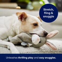 Frisco Bunny Bungee Plush Squeaky Dog Toy -PetSafe Kong Shop 233612 PT5. AC SS1800 V1691783971