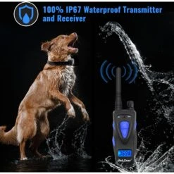 Petrainer C17-1 Waterproof Rechargeable Dog Training Collar -PetSafe Kong Shop 233873 PT5. AC SS1800 V1595086556