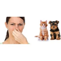 Room Shocker Quick Release Odor Eliminating Vapor -PetSafe Kong Shop 235803 PT2. AC SS1800 V1589835658