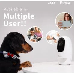 Pawbo Wi-Fi Interactive Pet Camera & Treat Dispenser, Pink -PetSafe Kong Shop 236288 PT3. AC SS1800 V1608349036
