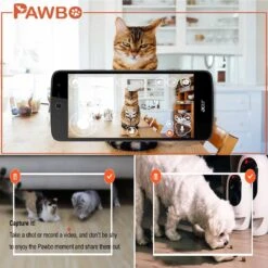 Pawbo Wi-Fi Interactive Pet Camera & Treat Dispenser, Pink -PetSafe Kong Shop 236288 PT4. AC SS1800 V1608339461