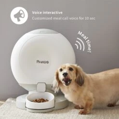 Pawbo Crunchy SmartPhone Controlled Dog & Cat Feeder -PetSafe Kong Shop 236296 PT2. AC SS1800 V1615558299
