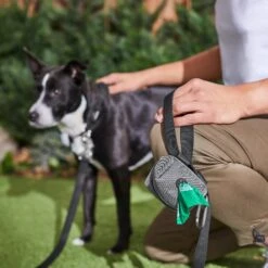 Frisco Dog Poop Bags With Fabric Dispenser -PetSafe Kong Shop 236998 PT6. AC SS1800 V1610772967