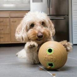 KONG Bamboo Feeder Ball Dog Toy 7 KONG Bamboo Feeder Ball Dog Toy -PetSafe Kong Shop 237869 PT2. AC SS1800 V1631777219