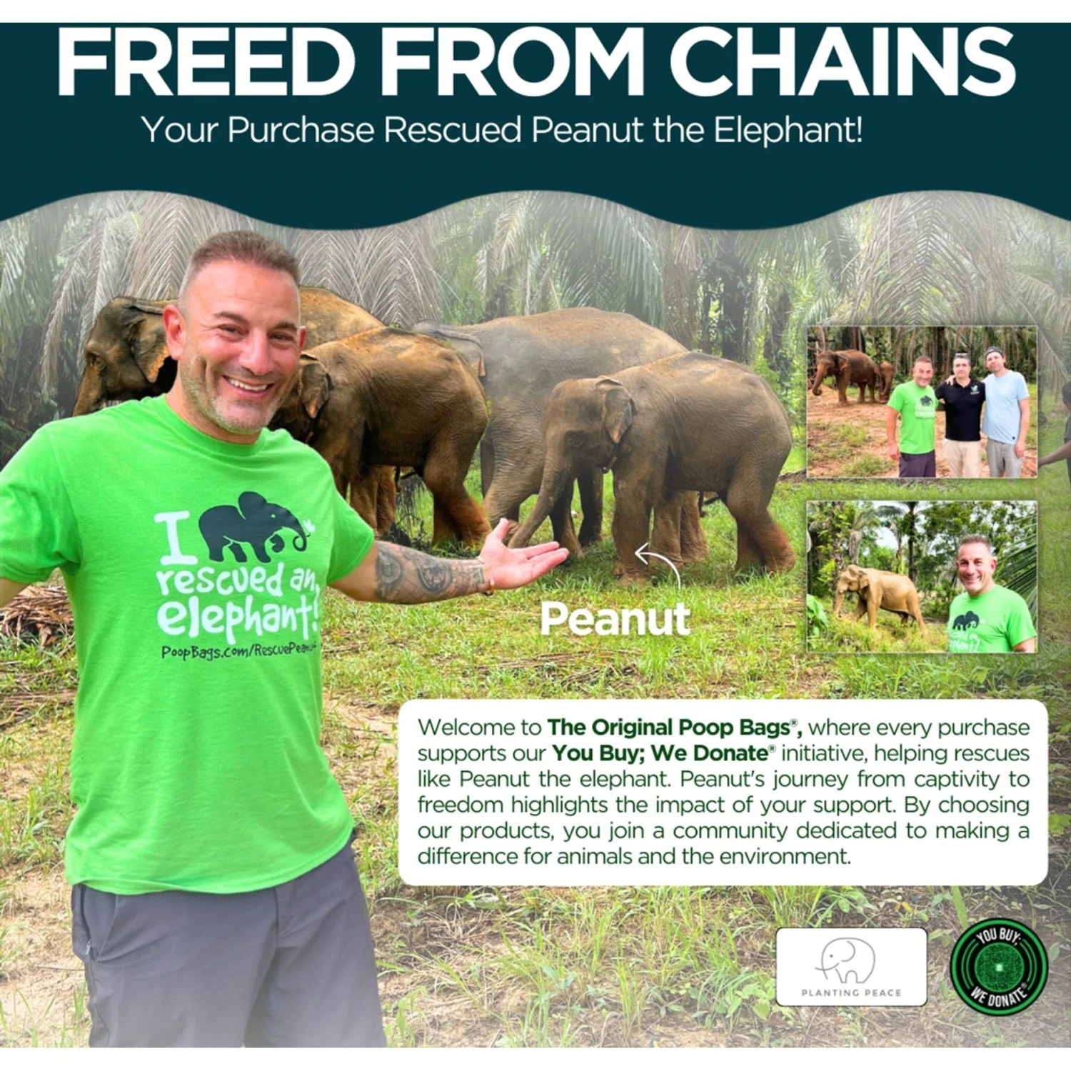 The Original Poop Bags Handle Tie Compostable Dog Poop Bags, 120 Count 5 The Original Poop Bags Handle Tie Compostable Dog Poop Bags, 120 Count - Image 5