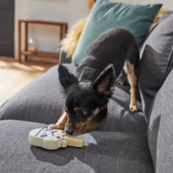 STAR WARS STORMTROOPER Ice Cream Pop Latex Squeaky Dog Toy -PetSafe Kong Shop 239891 PT3. AC SS1800 V1624648761