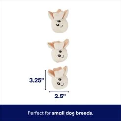 Frisco Zoomies & Chill Popcorn Hide & Seek Puzzle Plush Squeaky Dog Toy 10 Frisco Zoomies & Chill Popcorn Hide & Seek Puzzle Plush Squeaky Dog Toy -PetSafe Kong Shop 241679 PT2. AC SS1800 V1695748413