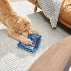 Frisco Zoomies & Chill TV Flat Plush Squeaky Dog Toy -PetSafe Kong Shop 241685 PT6. AC SS1800 V1610768399